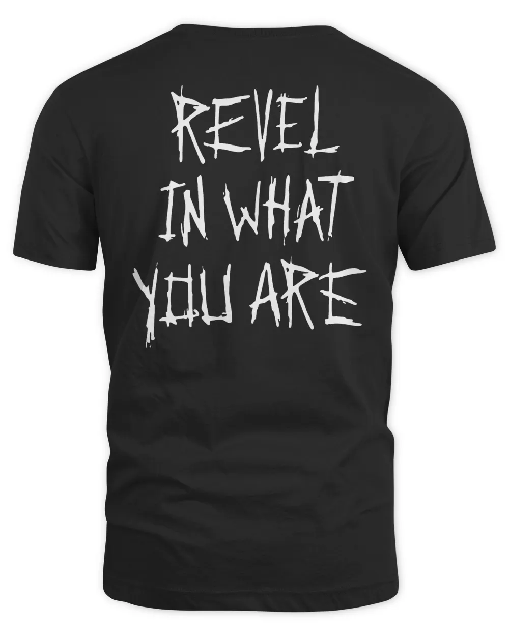 WWE Bray Wyatt Black Uncle Howdy Mineral Wash Revel In What You Are T-Shirt